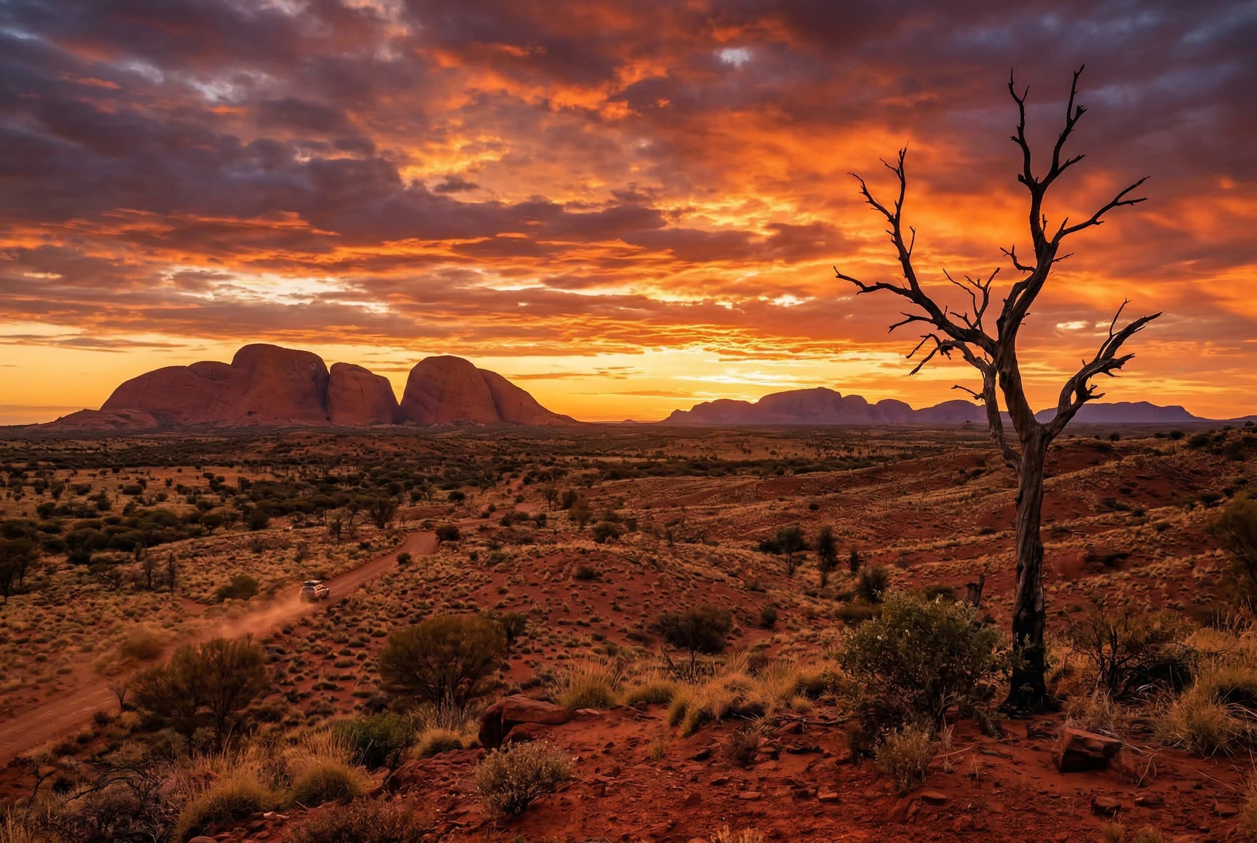 Outback Lounger